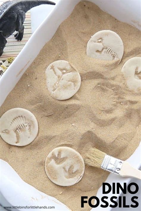 Be A Paleontologist with DIY Fossils! - Little Bins for Little Hands