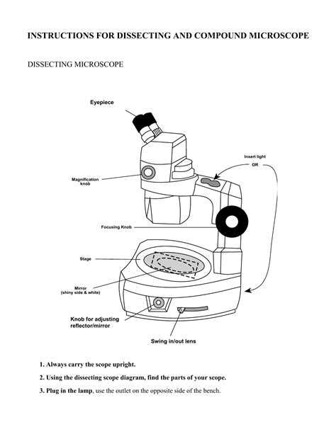 Dissecting Microscope Diagram