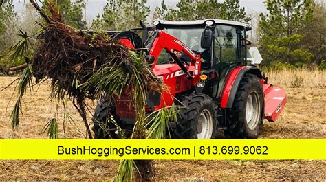 Tractor Bush Hog, Land Clearing And Brush Hogging In Florida