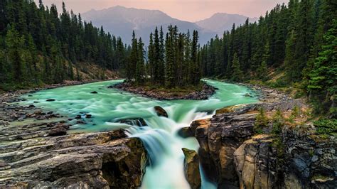 Stream, Nature, Wilderness, National Park Of Canada, - Jasper National ...