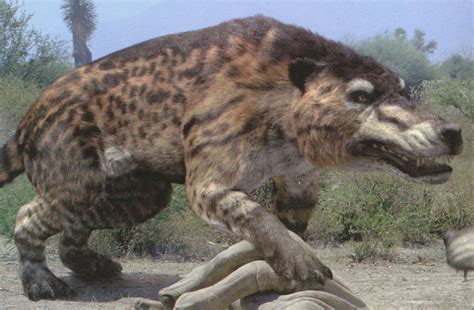 Andrewsarchus: A Profile In Degeneration | DontComply.com