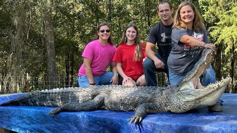 Arkansas Alligator Hunters Had a Record Harvest This Year | Outdoor Life