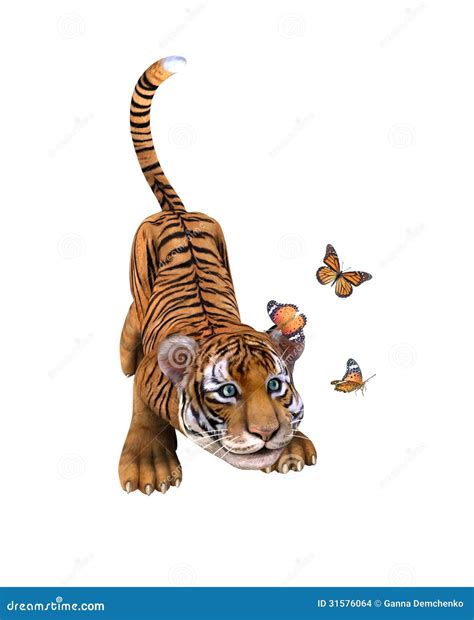 Cute Tiger Cub Playing With Butterflies. Stock Images - Image: 31576064