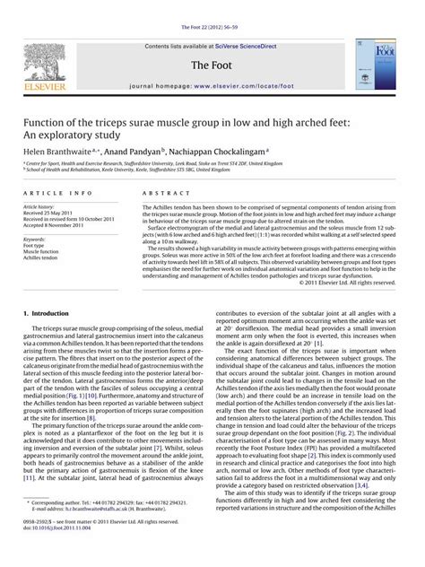 (PDF) Function of the triceps surae muscle group in low and high arched ...