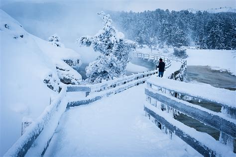 Travel Guide to Yellowstone’s Mammoth Springs in winter » Travel ...