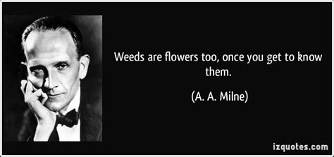 A. A. Milne Quotes. QuotesGram