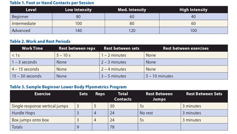 Introduction into Plyometrics – Sport Rehabilitation & Fitness