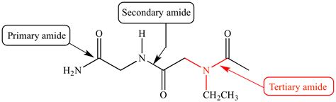 Amine Vs Amide Structure