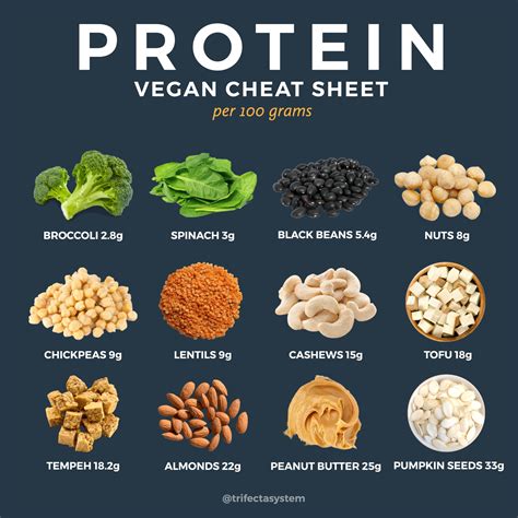 40 Vegan Meal Prep Recipes High in Protein + Full Meal Planning Toolkit