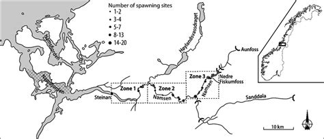 Namsfjorden and the Namsen river system, showing locations of bag nets ...