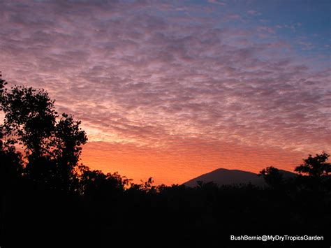 Bush Bernie's Blog: Early Winter Morning Sunrise ... The Year In ...