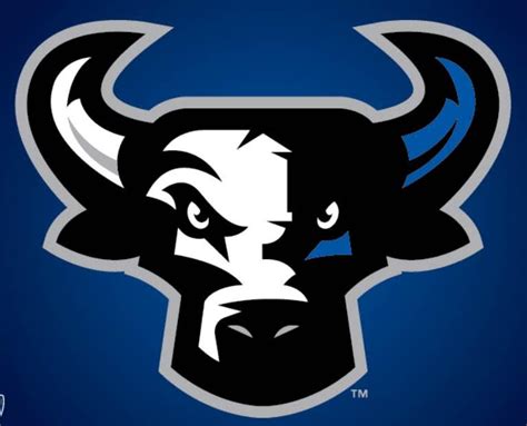 Durham Bulls Baseball Schedule 2024 - Cleo Mellie