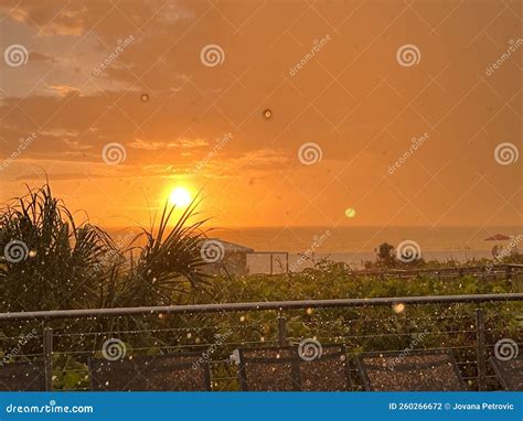 Ocean Sunset View stock photo. Image of view, ocean - 260266672