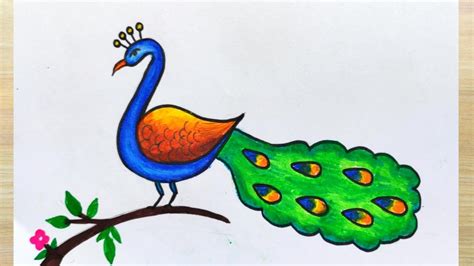 How To Draw Peacock - Contestgold8