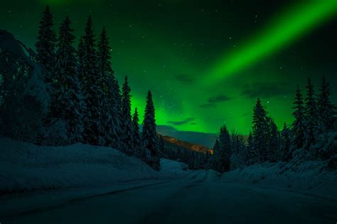 Polar lights - Norway | Night landscape photography, Cool landscapes ...