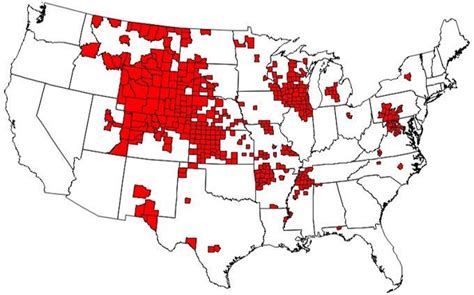 'Zombie deer' disease has been reported in more than half the US: What ...