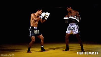 Powerful Muay Thai kicks and kick combos | Roundhouse kick, Muay thai ...