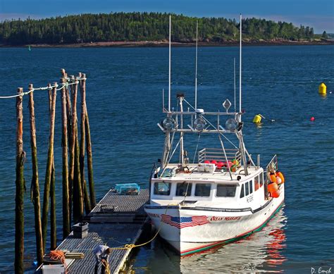 Capture America Journal: Maine: Eastport Lobster fishing