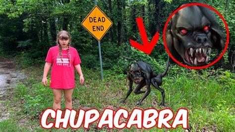 CHUPACABRA SPOTTED in the WOODS! The LEGEND of the EL CHUPACABRAS 😵 ...