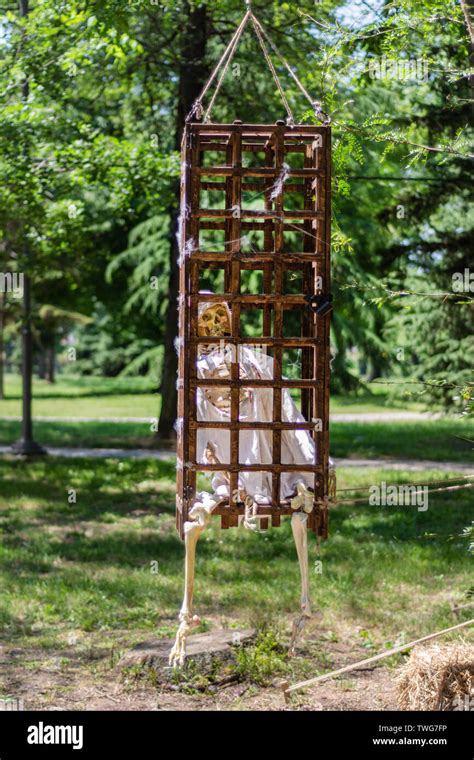 Old human skeleton in a wooden cage hanging on a tree and green spring ...