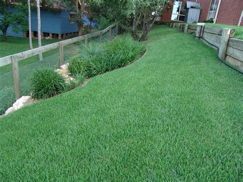 Zoysia Turf Grass Supplier Brisbane Gold Coast - Zoysia Lawn Block