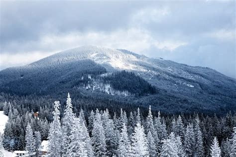 The 3 Best Gatlinburg Winter Attractions