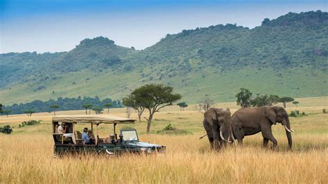 How To Book A Masai Mara Safari | Maasai Mara National Reserve