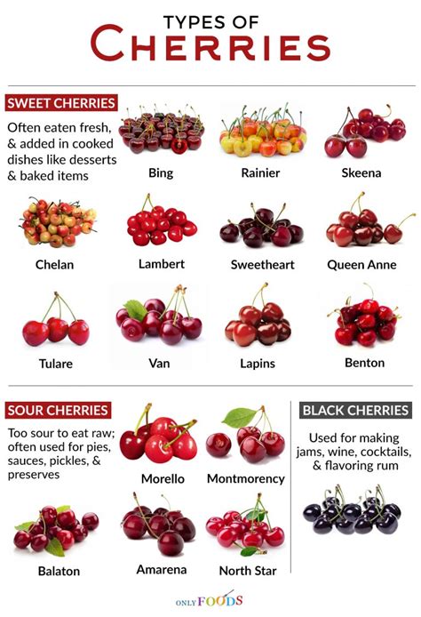 17 Different Types of Cherries to Cook with or Eat Fresh