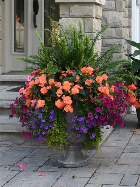 Beautiful Tropical Front Entry Planter | Container gardening, Container ...