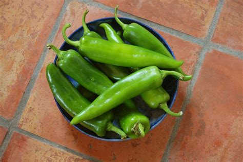 Hatch chile season starts this month. But are they worth the hype?