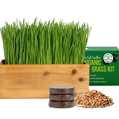 Buy The Cat Ladies Cat Grass Kit () with Rustic Wood er, Seed and Soil ...