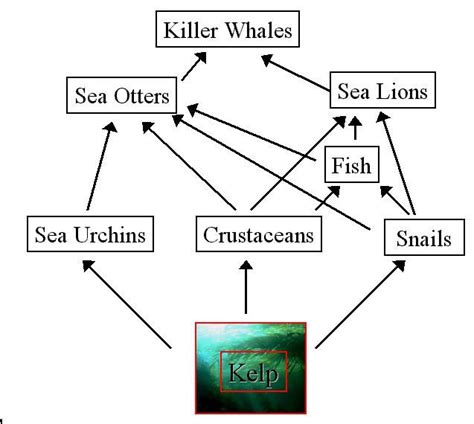 Chapter 4: Symbiotic relationship