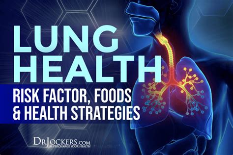 Lung Health: Risk Factors, Foods & Health Strategies