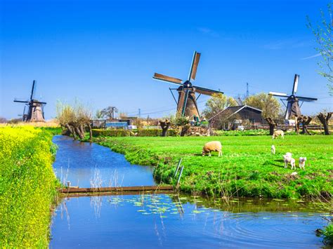 Kinderdijk: A Timeless Tale of Dutch Heritage and Windmills