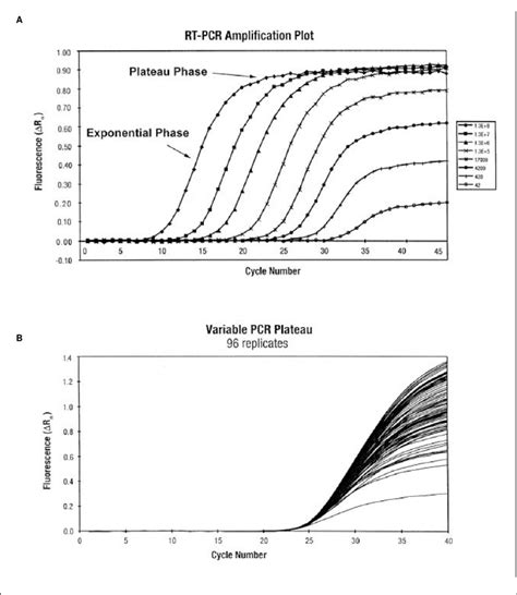 Exponential vs. plateau phases in PCR. (A) During the exponential ...