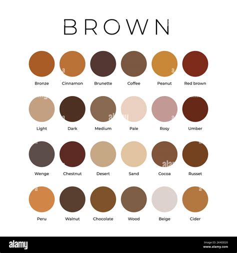 Shades of brown color samples Stock Vector Images - Alamy