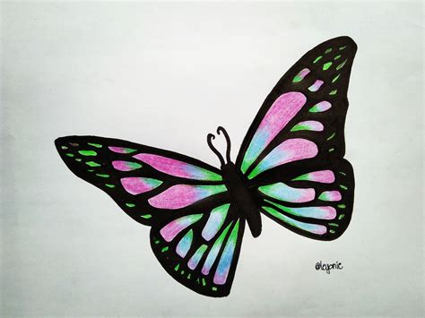 Colorful Butterfly Drawing at PaintingValley.com | Explore collection ...