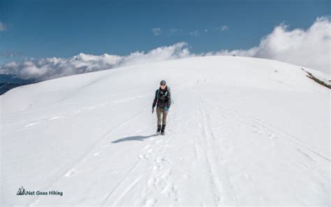 Mount Bogong Hike (Alpine National Park) - Nat Goes Hiking