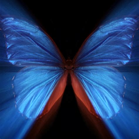 Butterfly Effect Psychology, Butterfly Effect Meaning, Best Sci Fi ...