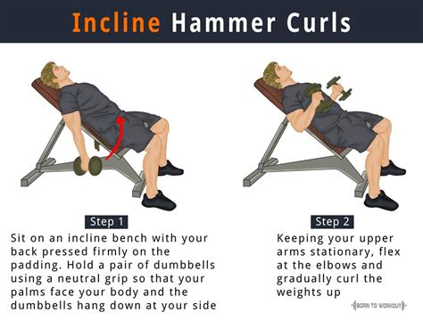 Incline Hammer Dumbbell Curls: Benefits, How to do, Pictures