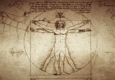 El Vitruvio de Leonardo Da Vinci – Revista Educarnos