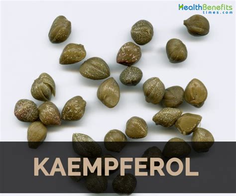 Kaempferol Facts and Health Benefits | Nutrition