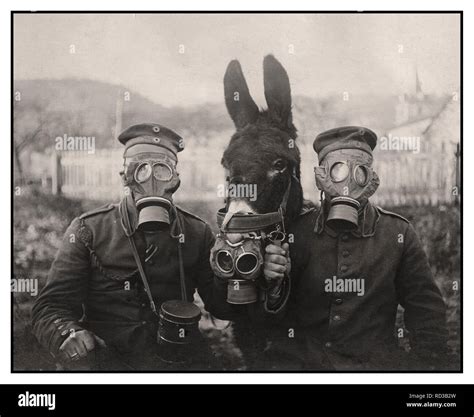 WW1 Gas Masks Vintage B&W stark image of German soldiers and their mule ...