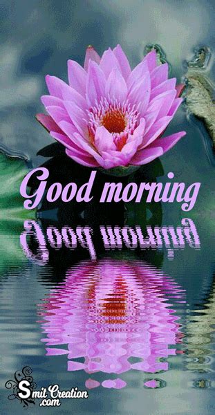 Good Morning Gif Image Pictures and Graphics - SmitCreation.com - Page 2