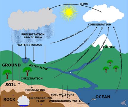 A Small Body of Water That Flows Across Land - Cindy-has-Dorsey