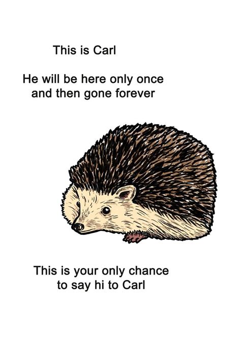 'Carl The Hedgehog Meme' Poster, picture, metal print, paint by Yipptee ...