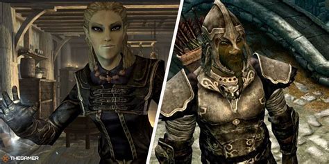 The Best Builds For High Elves In Skyrim