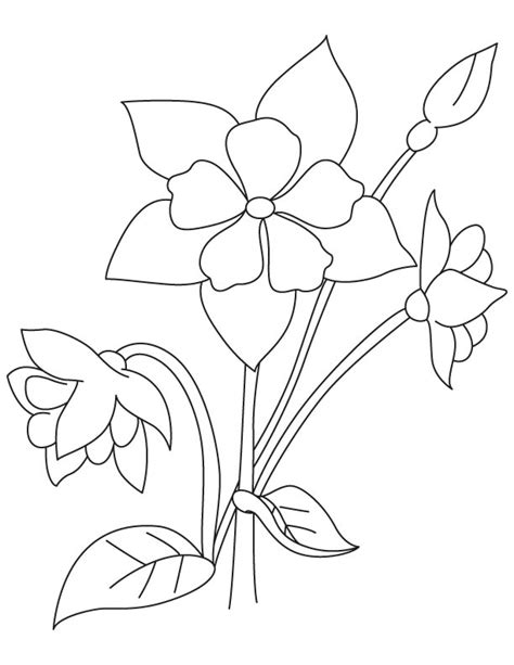 Columbine Flower Drawing at GetDrawings | Free download