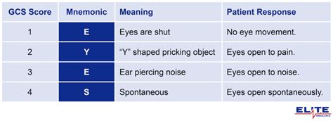 GCS Mnemonic Guide: EYES, VOICE, OLD BEN | Elite Ambulance