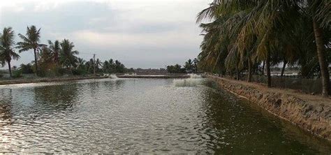 Chirala, India 2023: Best Places to Visit - Tripadvisor